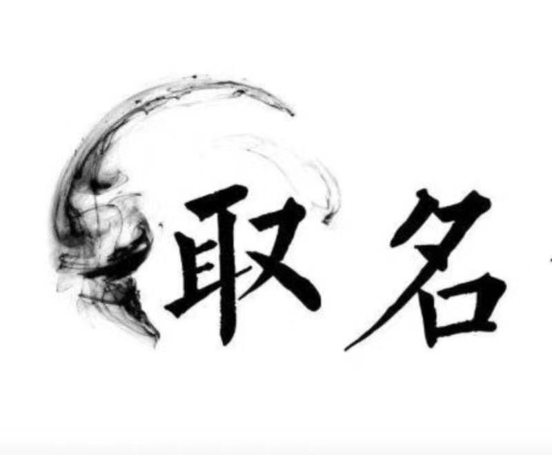  临夏宝宝取名 大师一对一人工起名